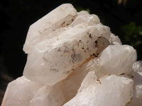 Natural White Quartz Clusters x 12 From Madagascar - Toprock Gemstones and Minerals 