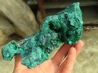 Natural Chatoyant Silky Malachite Specimens  x 2 From Kasompe, Congo