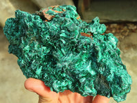 Natural Chatoyant Silky Malachite Specimens  x 2 From Kasompe, Congo