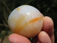 Polished Carnelian Gallets x 35 From Madagascar - TopRock