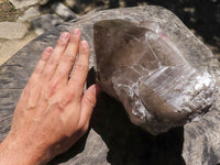 Natural Large Smokey Quartz Crystal With Polished Terminations  x 1 From Mt. Mulanje, Malawi - TopRock