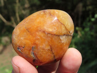 Polished Carnelian Gallets x 35 From Madagascar - TopRock