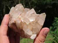 Natural Lovely Medium Sized Mostly Intact Quartz Clusters x 5 From Madagascar - TopRock