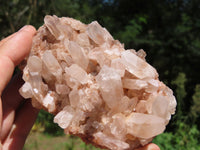 Natural Lovely Medium Sized Mostly Intact Quartz Clusters x 5 From Madagascar - TopRock