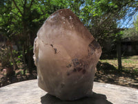 Natural Large Smokey Quartz Crystal With Polished Terminations  x 1 From Mt. Mulanje, Malawi - TopRock