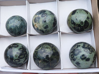 Polished Stromatolite / Kambamba Jasper Spheres  x 6 From Madagascar - TopRock