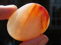 Polished Carnelian Gallets x 35 From Madagascar - TopRock