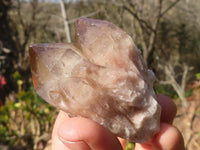 Natural Small Cascading Smokey Phantom Quartz Clusters x 12 From Luena, Congo