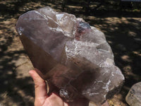 Natural Large Smokey Quartz Crystal With Polished Terminations  x 1 From Mt. Mulanje, Malawi - TopRock