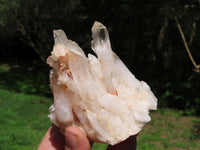 Natural Lovely Medium Sized Mostly Intact Quartz Clusters x 5 From Madagascar - TopRock