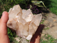 Natural Lovely Medium Sized Mostly Intact Quartz Clusters x 5 From Madagascar - TopRock