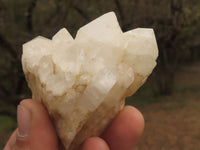 Natural Small Selected White Quartz Clusters  x 12 From Mandrosonoro, Madagascar - TopRock