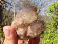 Natural Small Cascading Smokey Phantom Quartz Clusters x 12 From Luena, Congo