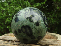 Polished Stromatolite / Kambamba Jasper Spheres  x 6 From Madagascar - TopRock