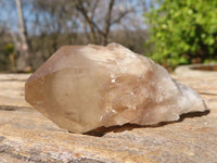 Natural Small Cascading Smokey Phantom Quartz Clusters x 12 From Luena, Congo