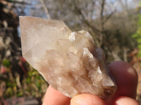 Natural Small Cascading Smokey Phantom Quartz Clusters x 12 From Luena, Congo