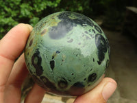 Polished Stromatolite / Kambamba Jasper Spheres  x 6 From Madagascar - TopRock