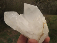 Natural Small Selected White Quartz Clusters  x 12 From Mandrosonoro, Madagascar - TopRock