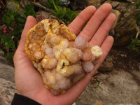 Natural Spirit Amethyst Quartz Clusters x 6 From Southern Africa