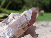 Natural Red Hematoid Quartz Clusters (Half Polished / cut to shape) x 2 From Karoi, Zimbabwe - TopRock