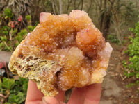 Natural Spirit Amethyst Quartz Clusters x 6 From Southern Africa