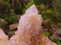 Natural Spirit Amethyst Quartz Clusters x 6 From Southern Africa