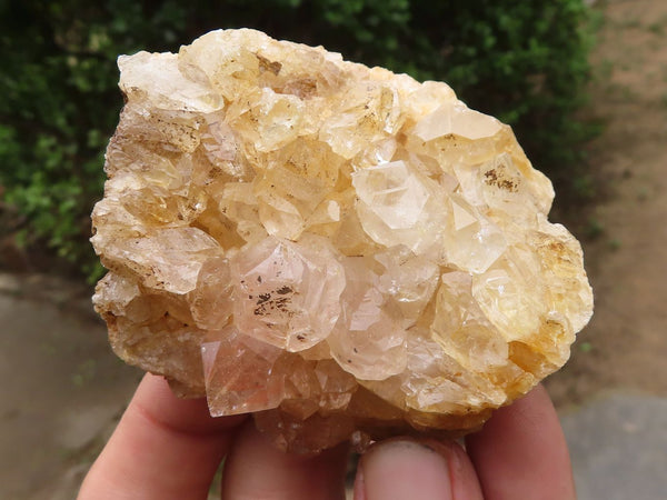 Natural Golden Lemonite / Limonite Quartz Clusters  x 12 From Zambia - TopRock