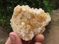 Natural Golden Lemonite / Limonite Quartz Clusters  x 12 From Zambia - TopRock