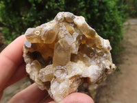 Natural Golden Lemonite / Limonite Quartz Clusters  x 12 From Zambia - TopRock