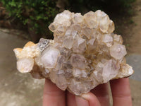 Natural Golden Lemonite / Limonite Quartz Clusters  x 12 From Zambia - TopRock