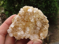 Natural Golden Lemonite / Limonite Quartz Clusters  x 12 From Zambia - TopRock