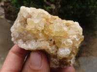 Natural Golden Lemonite / Limonite Quartz Clusters  x 12 From Zambia - TopRock