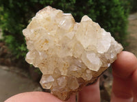 Natural Golden Lemonite / Limonite Quartz Clusters  x 12 From Zambia - TopRock