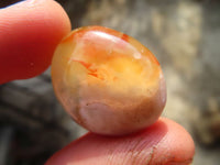 Polished Mini Ocean  Flower Agate Palm Stones  x 70 From Madagascar