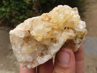 Natural Golden Lemonite / Limonite Quartz Clusters  x 12 From Zambia - TopRock