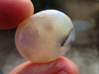 Polished Mini Ocean  Flower Agate Palm Stones  x 70 From Madagascar