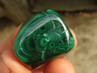 Polished  Small Banded Malachite Free Forms  x 35 From Congo