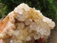 Natural Golden Lemonite / Limonite Quartz Clusters  x 12 From Zambia - TopRock