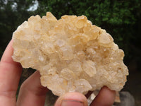 Natural Golden Lemonite / Limonite Quartz Clusters  x 12 From Zambia - TopRock