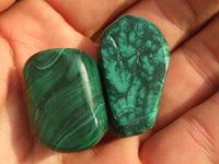 Polished  Small Banded Malachite Free Forms  x 35 From Congo