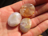 Polished Mini Ocean  Flower Agate Palm Stones  x 70 From Madagascar