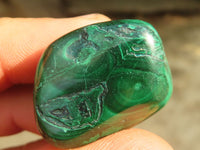 Polished  Small Banded Malachite Free Forms  x 35 From Congo