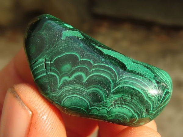Polished  Small Banded Malachite Free Forms  x 35 From Congo