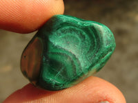 Polished  Small Banded Malachite Free Forms  x 35 From Congo