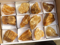 Natural Honey Aragonite Etched & Cobbed Pieces  x 12 From Namibia