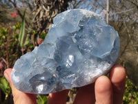 Polished Blue Celestite Crystal Specimens  x 2 From Sakoany, Madagascar