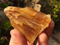 Natural Honey Aragonite Etched & Cobbed Pieces  x 12 From Namibia