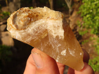 Natural Honey Aragonite Etched & Cobbed Pieces  x 12 From Namibia