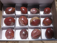 Polished Petrified Red Podocarpus Wood Palm Stones  x 12 From Mahajanga, Madagascar - TopRock