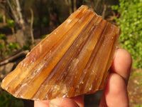 Natural Honey Aragonite Etched & Cobbed Pieces  x 12 From Namibia